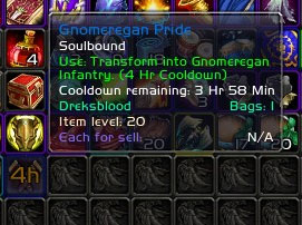 奖励蓝色的披风,可以传送到诺莫瑞根或者回音群岛